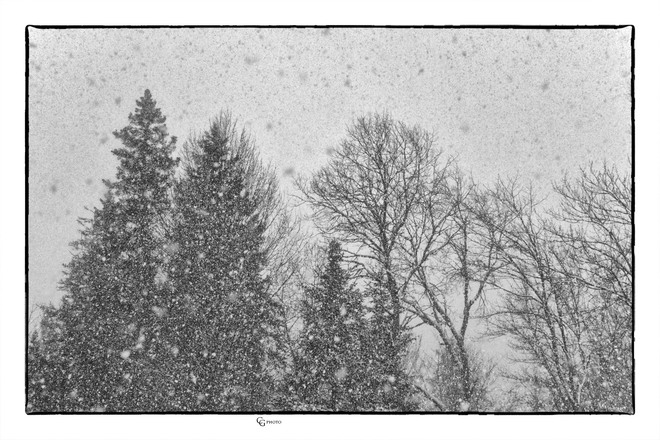 A snow filled day Magnetawan, ON