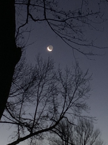 Lunar eclipse? Fort Erie, ON