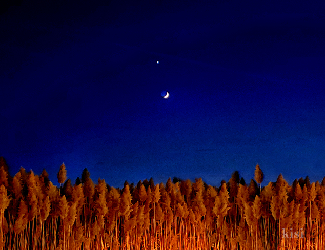 Venus Complimenting the Crescent Moon Chatham-Kent, ON