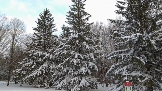 belle neige toute fraÃ®che Parc Régional Bois de Belle-Rivière, QC
