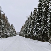 Chemin d&#39;hiver