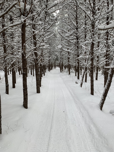 Sentier de neige privée de M. Renaud Rouyn-Noranda, Québec | J9Y 1S4