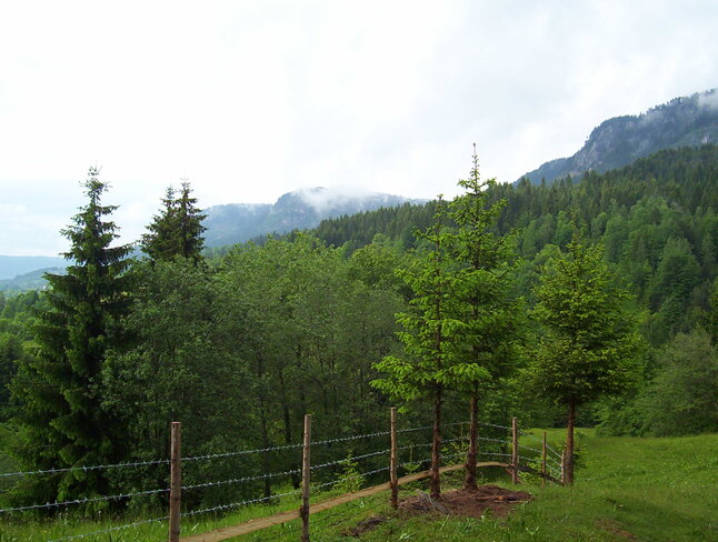 Beautiful Green Mountain Mokro, Republika Srpska, Bosnia and Herzegovina