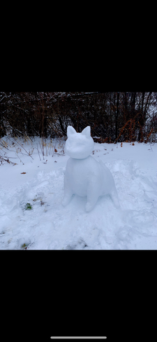 Snow cat! Halifax, Nova Scotia, CA