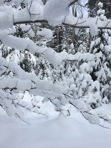 De la belle neige! Saint-Raymond, Québec, CA