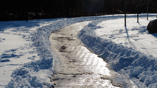 Tracks in the snow Scarborough, Toronto, ON
