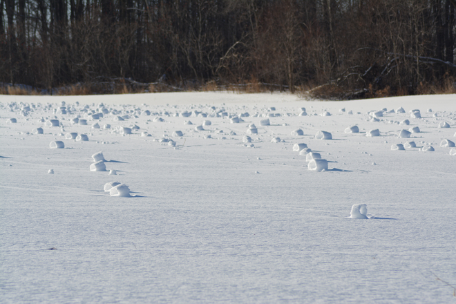 More snow rollers Cobourg, ON, Canada