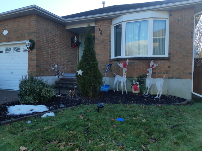 no snow yet , Christmas only 1 week away Bowmanville, ON