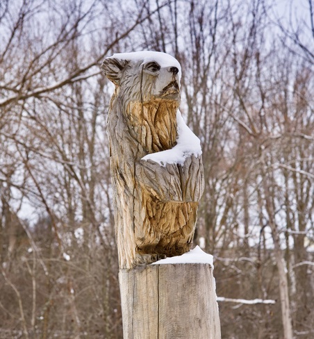 Sculpture sur tronc d'arbre 