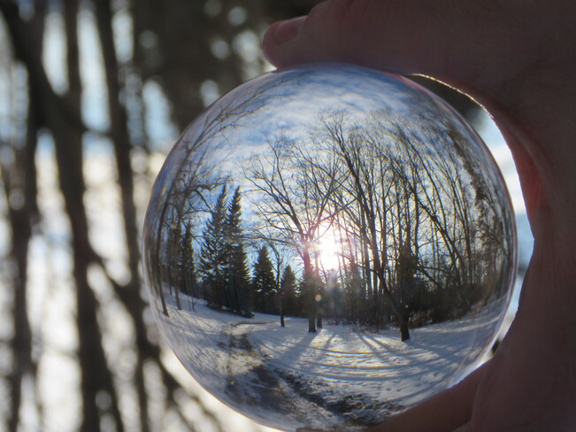 Lens ball is amazing to use for photography :) Sherwood Park, AB