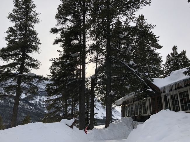 Freshly Fallen Winter Bliss .. Storm Mountain Lodge & Cabins, Highway 93 South, Banff National Park, AB