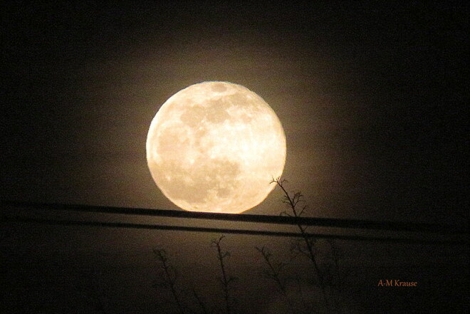 La pleine lune repose sur le fil. 09/02/2020 Saint-Pierre-de-la-Rivière-du-Sud, QC