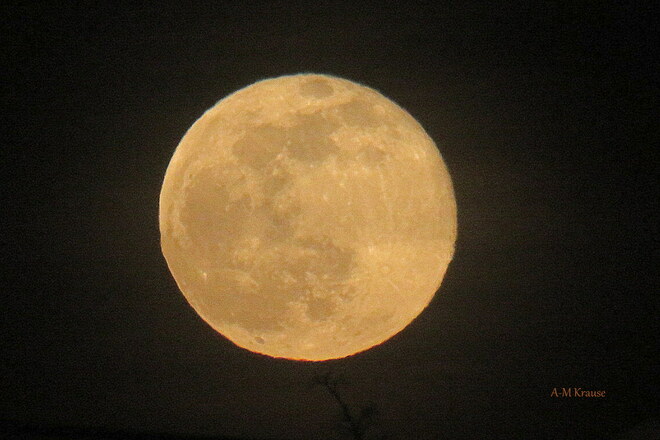 Pleine lune Saint-Pierre-de-la-Rivière-du-Sud, QC