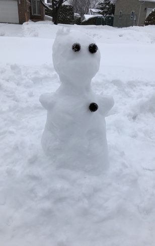 Bonhomme de neige Orléans, Ontario, CA