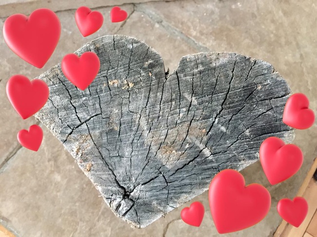Valentine's Day Firewood. Brechin, ON