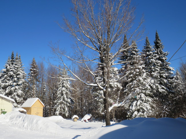 beau matin d'hiver rte 257 Hampden, QC J0B 3B0, Canada