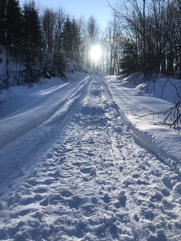 Snow route to the ðŸŒž Algoma, Unorganized, North Part, Ontario, CA