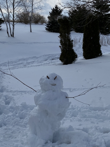 Snowman at Hunterlane Stables! Breslau, Ontario, CA