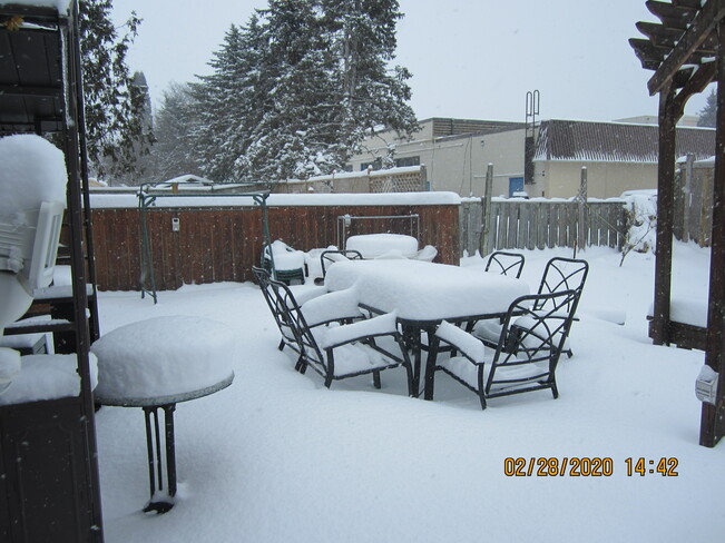 almost 12 inches of snow fell in Alliston ON in 24 hours Alliston, Beeton, New Tecumseth, ON