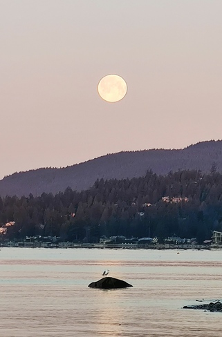 Worm moon setting West Vancouver, BC