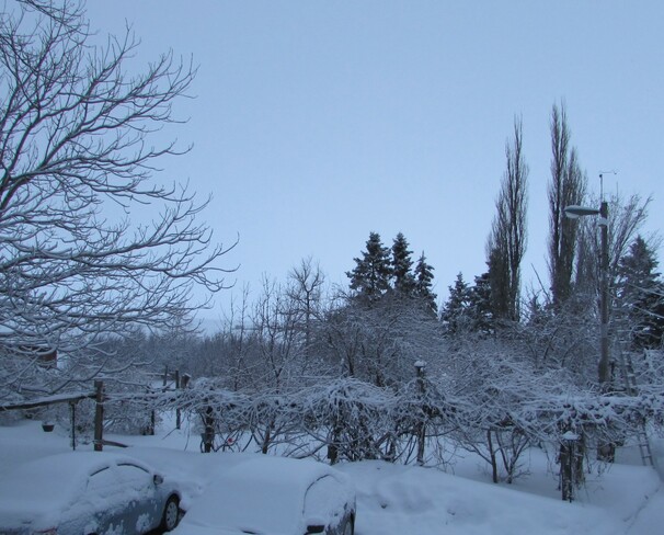 Un matin dans la neige Lac St Jean, Québec