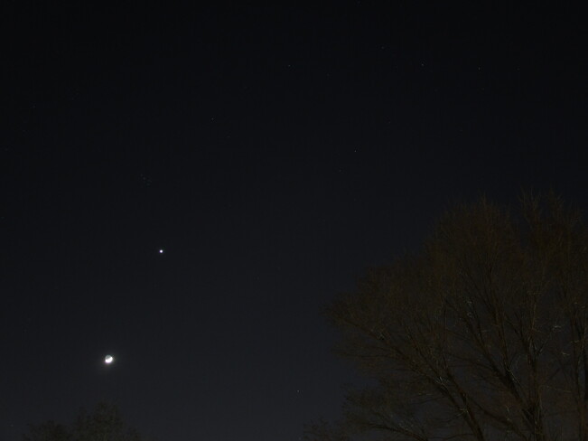 Venus, The Moon and The Stars Above Toronto Lights Toronto, ON
