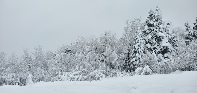 les neiges Saint-Ferréol-les-Neiges, QC
