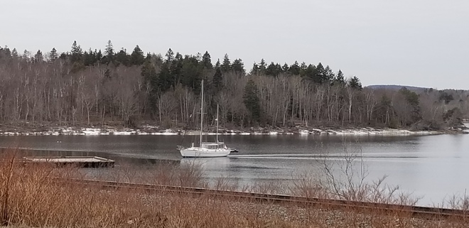 First Sailboat of the season Renforth, NB