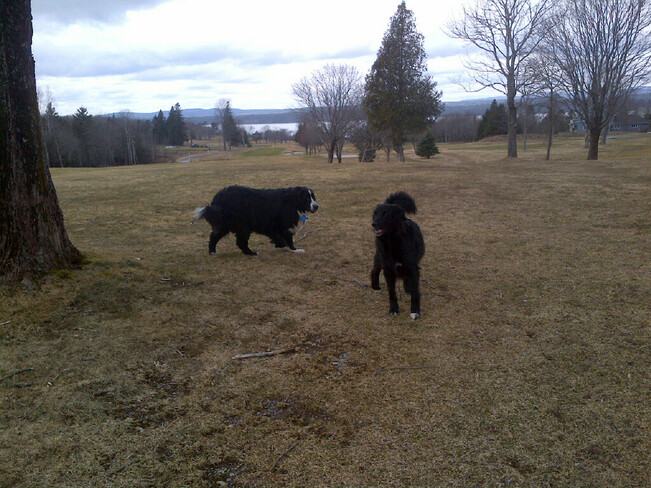 Honoring social distancing while getting daily exercise. Rothesay, NB