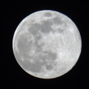 Lune (rose) du 7 avril 2020