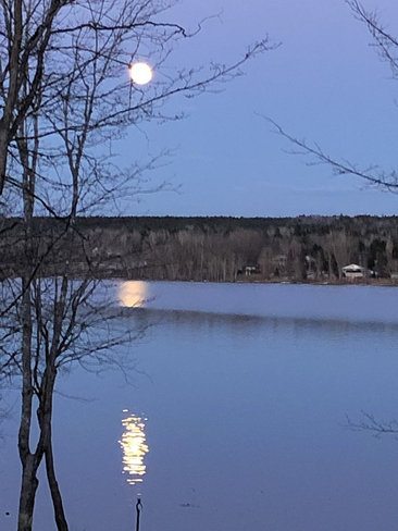 Pink full moon Cambridge-Narrows, New Brunswick, CA