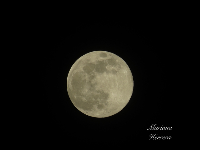 Super lune â€œ lune roseâ€ ðŸŒ• Saint-Hubert, Québec, CA