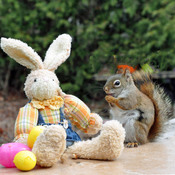 Hey Easter Bunny, Premier Ford says your essential...