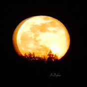 Lever de la pleine lune Ã  St-Arsene le 8 avril 2020 20 hres 18