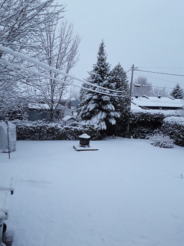 neige de la Beauce Saint-Côme--Linière, QC