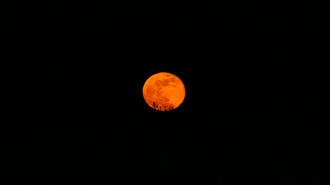 Super Moon Rising Mildmay, ON