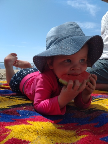 First beach picnic of 2020 Aylmer, Gatineau, QC