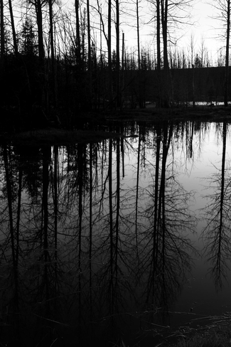 Dark Reflections Edson, Alberta, CA