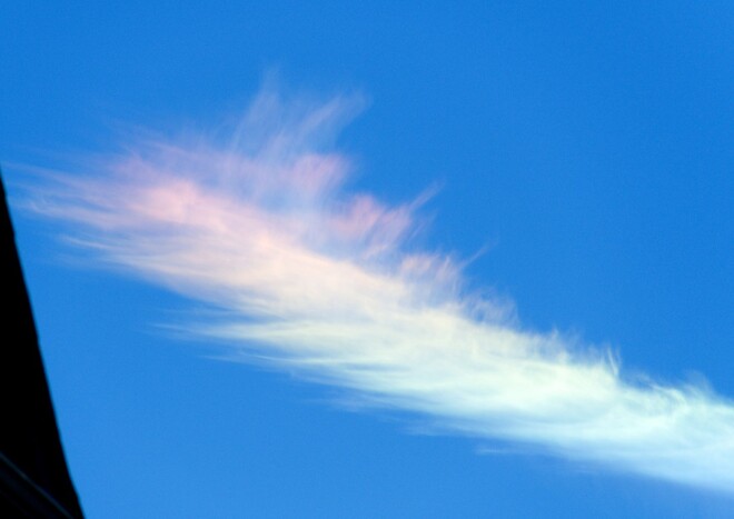 Pink Clouds Fernwood, Victoria, B.C.