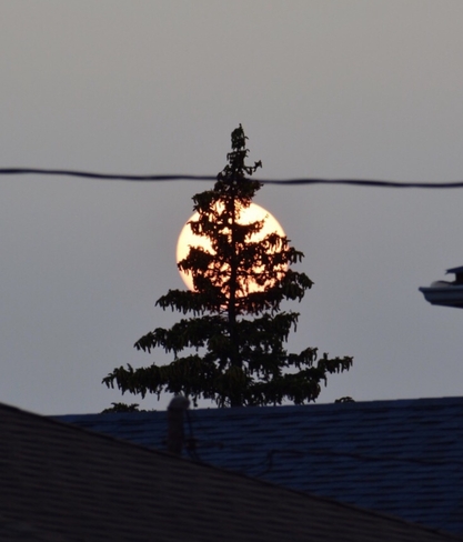 Full moon Bramalea, Ontario, CA