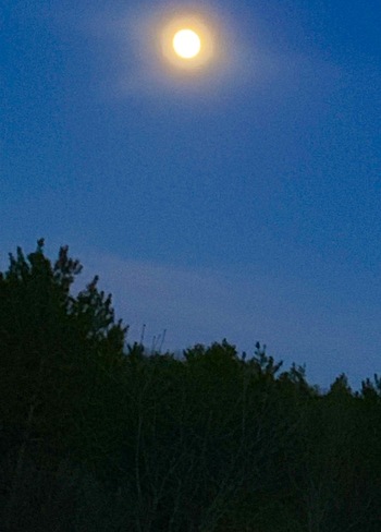 Very bright moon Castleton, ON