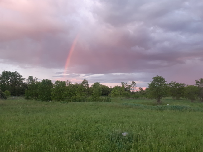 beautiful Sunset Rainbow Lindsay, ON