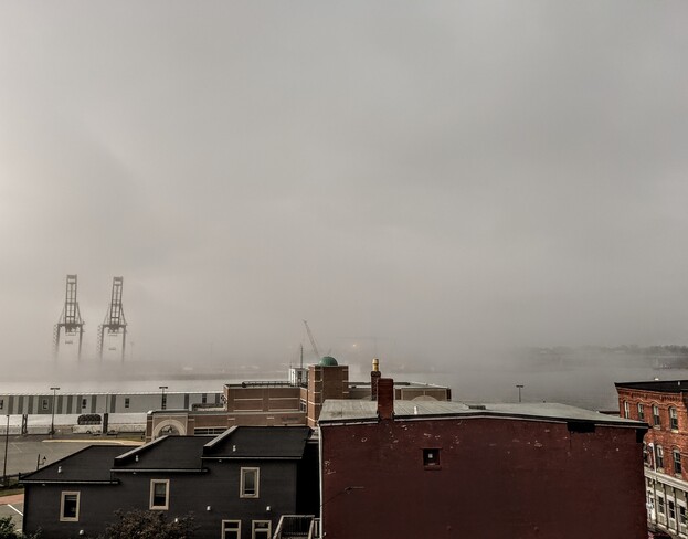 out of the fog Saint John, NB