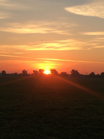 Sunrise on family farm Amherstburg, Ontario, CA