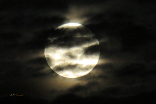 Pouvez-vous voir mon visage, dit la Lune. Saint-Pierre-de-la-Rivière-du-Sud, QC