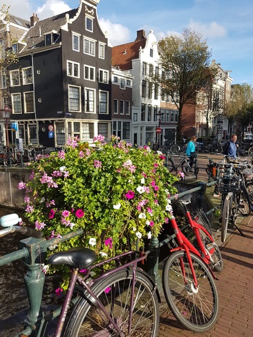 beauté d'Amsterdam Amsterdam, NH