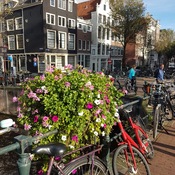 beauté d&#39;Amsterdam