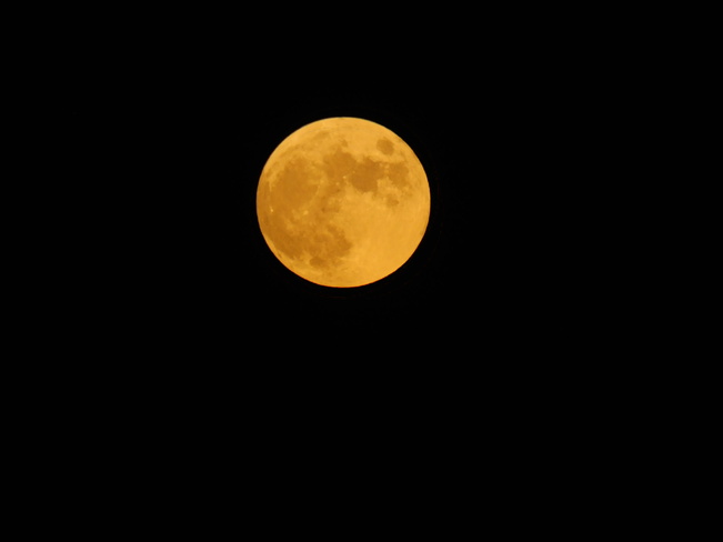 full moon in July Leamington, ON