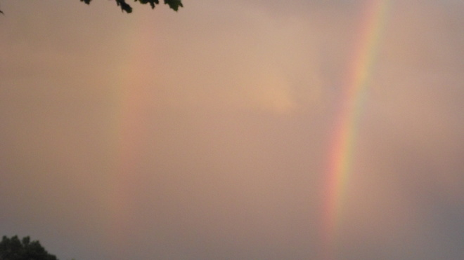 Rainbow Newcastle, ON