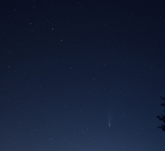 Comète Neowise Uxbridge, Ontario, CA